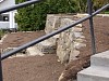ap4010029.jpg